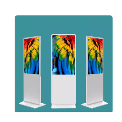 Panelgröße 49 Zoll Touchscreen Informationskiosk mit gehärtetem Glas